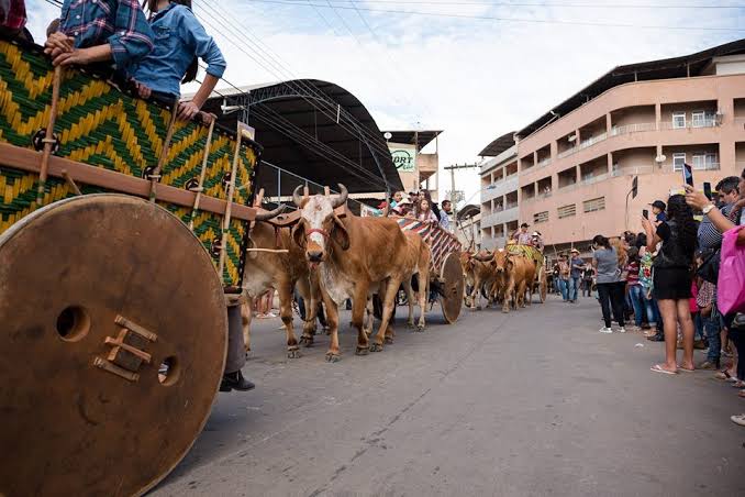 Este ano acontece a 11ª Festa do Carro de Boi de Iúna