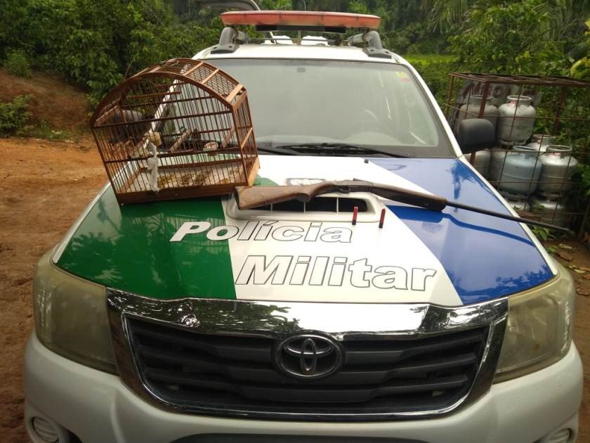 BPMA apreende arma e recolhe animal silvestre em Colatina