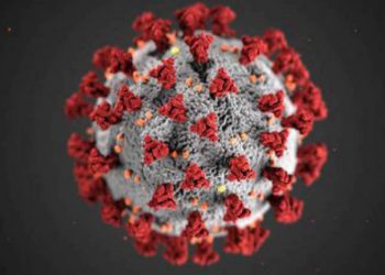 Cientistas descobrem novo sintoma importante relacionado ao coronavírus