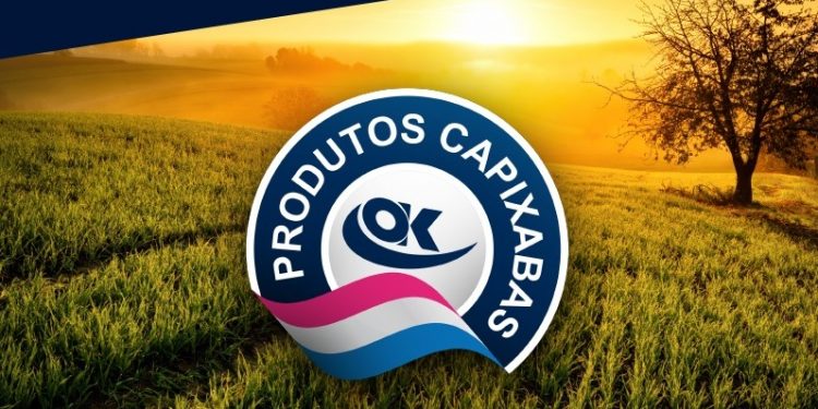 OK Superatacado cria selo de identificação para valorizar produtos locais