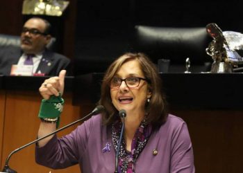 Senadora esquece câmera ligada e aparece nua em conferência de vídeo