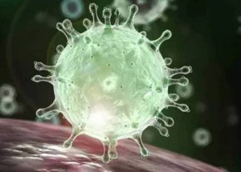 País tem 849 mortes por covid-19 em 24h, revela consórcio de veículos de imprensa