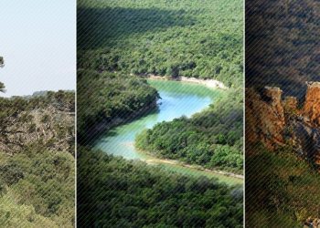 MMA lança maior programa do mundo para impulsionar remuneração de quem protege as florestas
