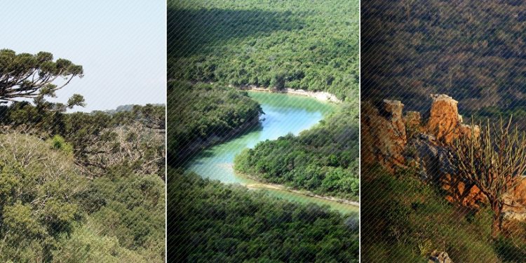 MMA lança maior programa do mundo para impulsionar remuneração de quem protege as florestas 1 MMA lança maior programa do mundo para impulsionar remuneração de quem protege as florestas