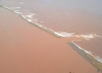 Documento põe em dúvida se litoral do ES foi atingido pelo desastre do Rio Doce
