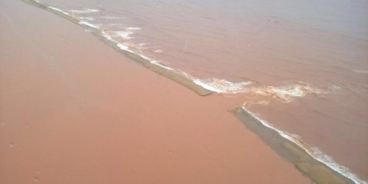 Documento põe em dúvida se litoral do ES foi atingido pelo desastre do Rio Doce