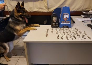 Como são treinados os cães policiais?