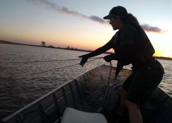 Policia ambiental apreende redes de emalhar na foz do rio doce em Regência Linhares