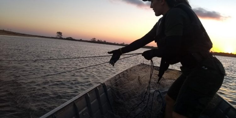 Policia ambiental apreende redes de emalhar na foz do rio doce em Regência Linhares