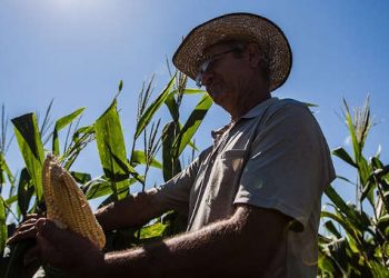 Câmara aprova projeto de ajuda a agricultores familiares durante pandemia