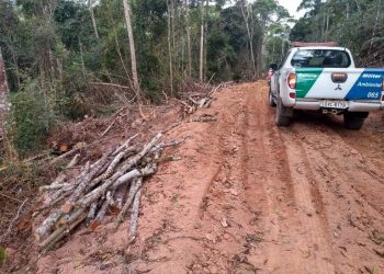 Operação do BPMA constata degradações ambientais em Itarana e Dores do Rio Preto