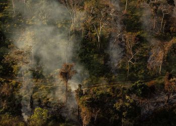 Amazônia tem segundo maior número de alertas de desmatamento da série do Deter-B