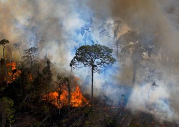 Recorde, fúria dos incêndios na Amazônia se intensifica em setembro