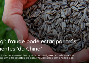 sementes
