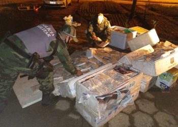 Polícia Ambiental apreende pescados e pássaros silvestres durante Operação Euterpe II
