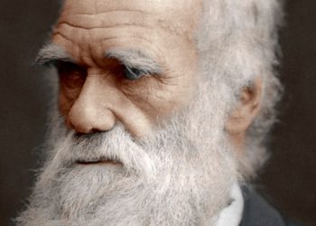 Universidade de Cambridge denuncia roubo de cadernos de Darwin