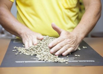 Café Meridiano ganha prêmio nacional de qualidade