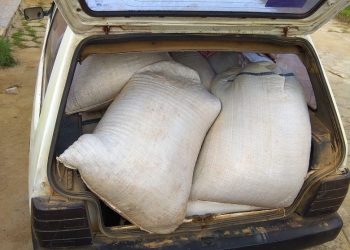 Polícia age rápido e recupera 24 sacas de pimenta furtadas em Nova Venécia