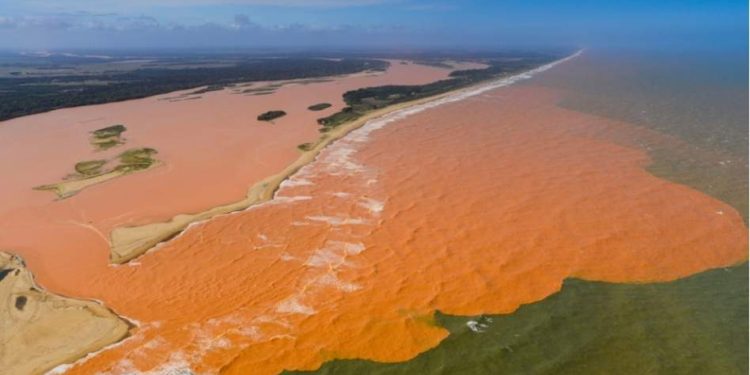 Seis anos de impunidade 1 Seis anos de impunidade