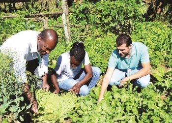 Inscrições no ES para o edital de Agroecologia e Produção Orgânica