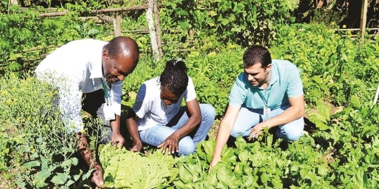 Inscrições no ES para o edital de Agroecologia e Produção Orgânica