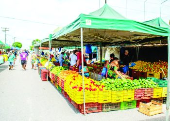Feiras livres na Semana Santa serão antecipadas em Linhares