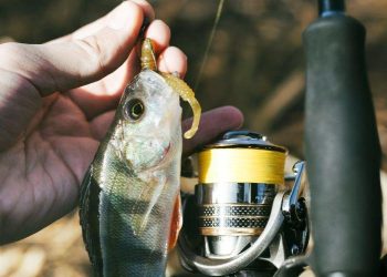 IV Taça Cidade de Vila Velha de Pesca reunirá 100 pescadores