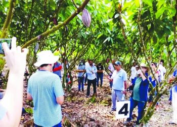 Linhares participa de missão técnica sobre produção de cacau na Bahia 5 Linhares participa de missão técnica sobre produção de cacau na Bahia