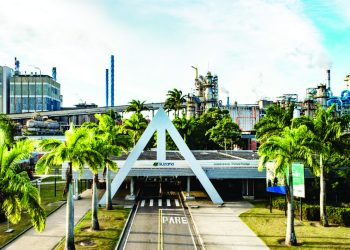 Suzano abre inscrições para o segundo ciclo do Programa de Estágio Técnico 2022
