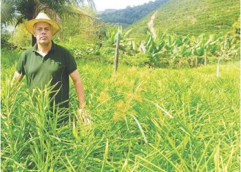 Apesar do conflito na Europa produção agropecuária brasileira deverá bater recorde em 2022