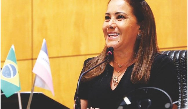 Deputada quer Delegacia Especializada em Delito Rural no Município de Nova Venécia 1 Deputada quer Delegacia Especializada em Delito Rural no Município de Nova Venécia