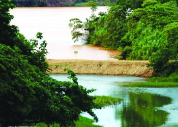 Indenização dos produtores rurais – Luz no fundo do túnel