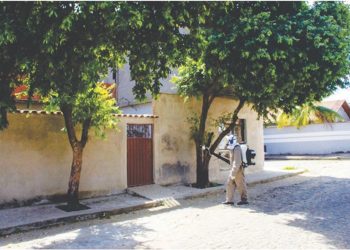 Prefeitura de Baixo Guandu intensifica ações contra o mosquito Aedes Aegypti