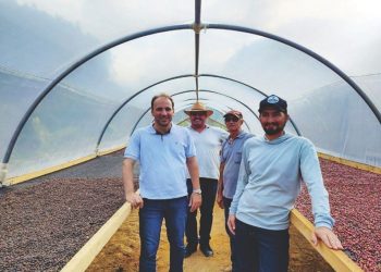 Produção de café em terreiros suspensos