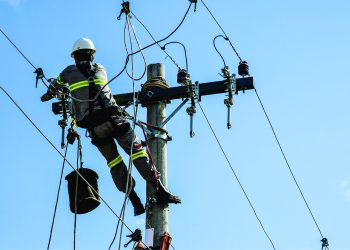 Distribuidora EDP competiu pelo prêmio com concessionárias de energia de todo o País.