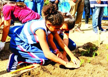 EDP promove edição do “Volta às Aulas com a EDP” para 1,2 mil crianças da escola municipal em Vila Velha.
