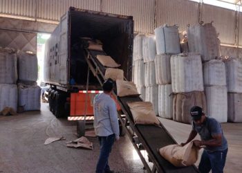Nater Coop (antiga Coopeavi) faz primeira exportação de pimenta-do-reino* _54 toneladas da especiaria estão a caminho do Egito