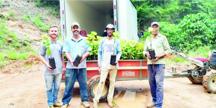 Polo de uva em São Rafael é expandido com entrega de novas mudas 1 Polo de uva em São Rafael é expandido com entrega de novas mudas