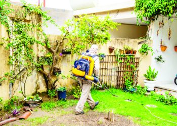 Aumenta o índice dengue de menos um para mais de 3%