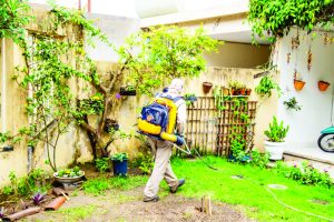 Aumenta o índice dengue de menos um para mais de 3% 2 dengue numeros 01