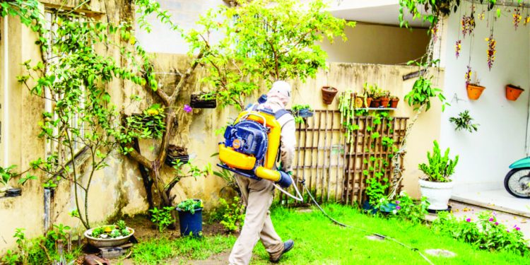 Aumenta o índice dengue de menos um para mais de 3% 1 Aumenta o índice dengue de menos um para mais de 3%