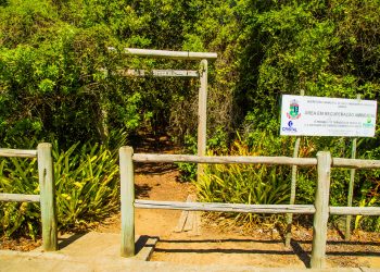 Prefeitura recupera e reabrirá Trilha da Tartaruga no Pontal do Ipiranga