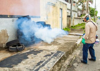 Linhares registra mais de 3 mil casos confirmados de dengue