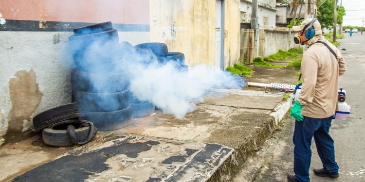 Linhares registra mais de 3 mil casos confirmados de dengue 1 Linhares registra mais de 3 mil casos confirmados de dengue