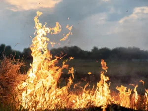 Defesa Civil alerta para período de estiagem e possíveis queimadas em Colatina. 2 7B43302B4A51442BA311907BA95864D8