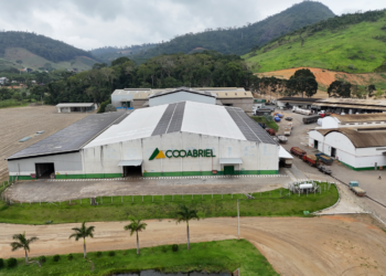 ISO 9001: Cooabriel obtém certificação internacional e fortalece padrão de excelência operacional.